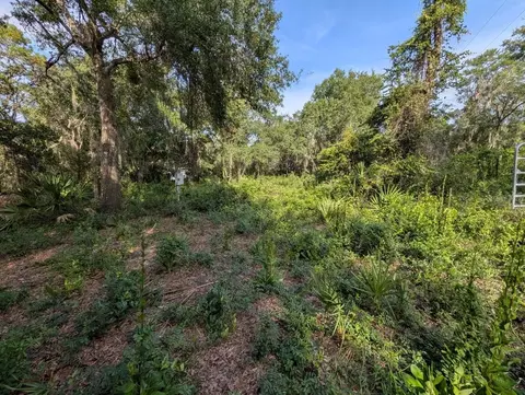 9747 NE 302nd Ct, Salt Springs, FL 32134