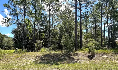 0000 SW 68 Loop Loop, Dunnellon, FL 34432