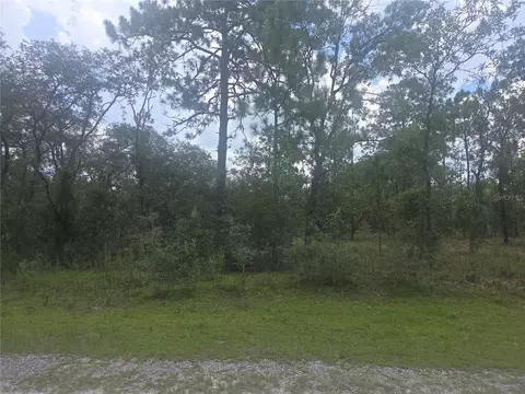 lot3 SE 129 Ct, Dunnellon, FL 34431