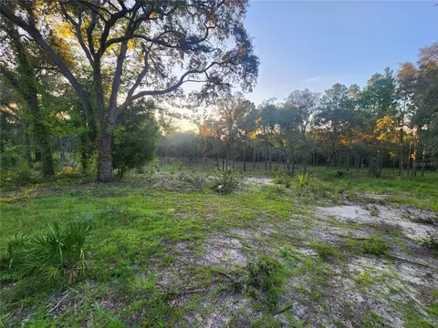 tbd NE 82nd Pl, Bronson, FL 32621