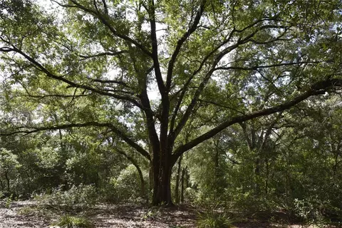 Off Se 30th St., Inglis, FL 34449