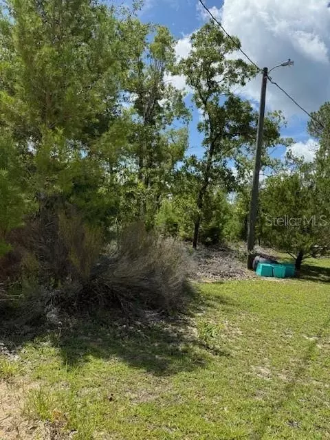 117 S Dakota St, Hawthorne, FL 32640