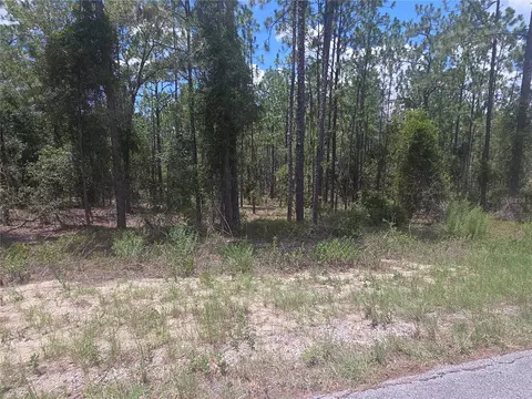 lot34 SE 128 Ave, Dunnellon, FL 34431