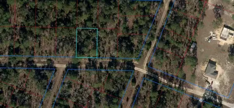 tbd NE 11th Pl, Williston, FL 32696 photo 3