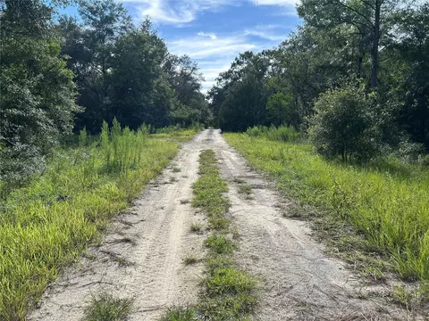 tbd NE 11th Pl, Williston, FL 32696 photo 2