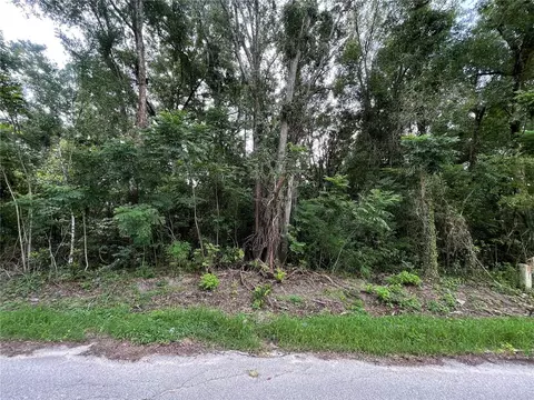 0 SE 135 Pl, Summerfield, FL 34491