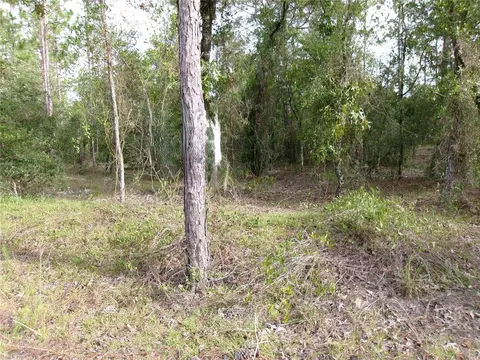 lot8 SW Nautilus Blvd, Dunnellon, FL 34431