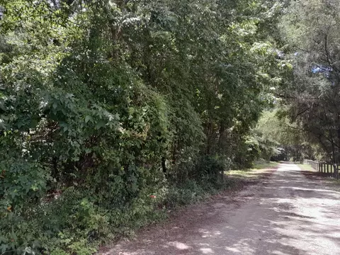 tbd NW 172nd Pl, Reddick, FL 32686