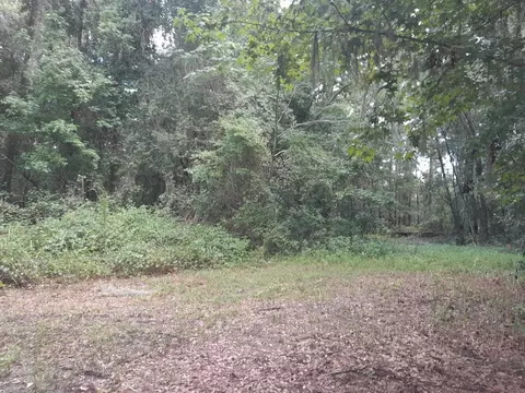 tbd NW 172nd Pl, Reddick, FL 32686 photo 2