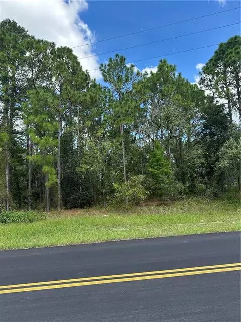 116 Corkwood, Homosassa, FL 34446