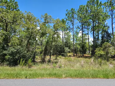 SW Beach Boulevard, Dunnellon, FL 34431