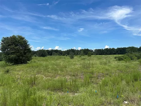 7795 SE 63rd Ct, Ocala, FL 34472 photo 6
