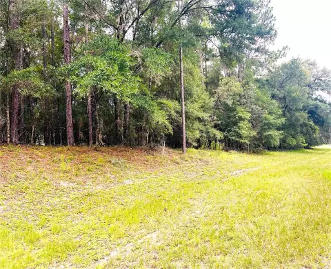 0000 SW 185 Avenue Road Rd, Dunnellon, FL 34432