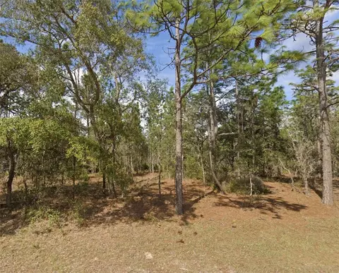 0 SW 85th Pl, Dunnellon, FL 34432