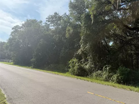 tbd SW 155th St SW, Dunnellon, FL 34432