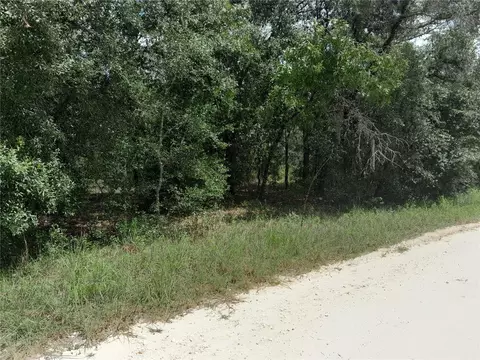 91 SE 142nd Ter, Williston, FL 32696