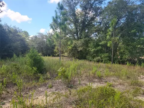 lot21 SW Rainbow Lakes Blvd, Dunnellon, FL 34431