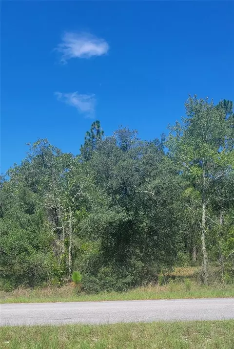 0 SW Big Bear Rdg, Dunnellon, FL 34431