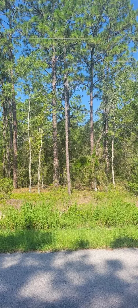 0 NW Redwood Rd, Dunnellon, FL 34431