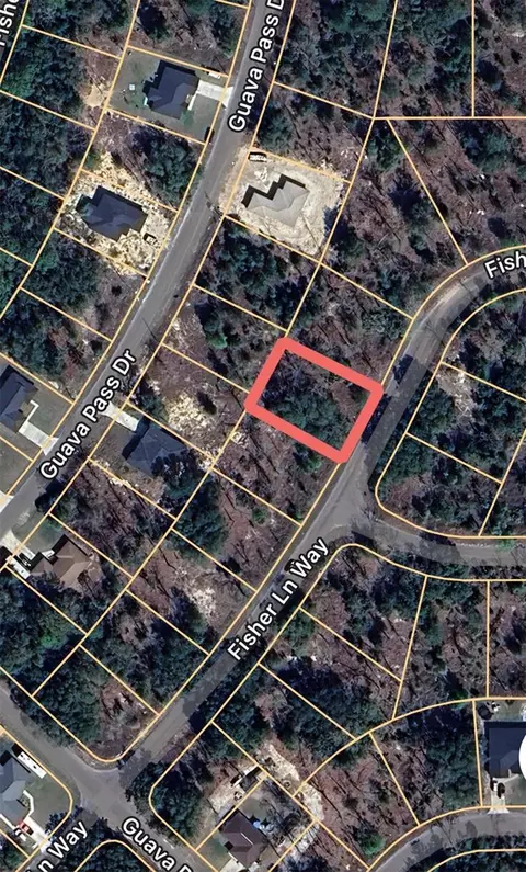 fisher lane way, Ocklawaha, FL 32179