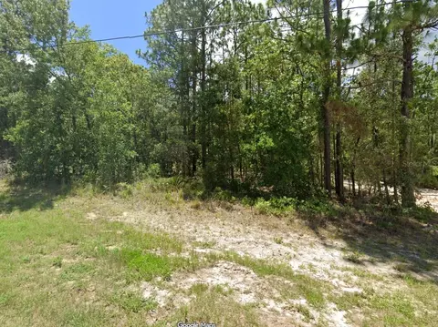 tbd SW 73rd Avenue Rd, Ocala, FL 34473