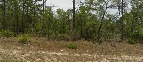 6627 N Bedstrow Blvd, Citrus Springs, FL 34434