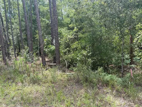 00 SW 87th Loop, Dunnellon, FL 34431