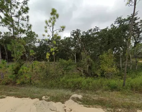 tbd SE 148 Ave, Williston, FL 32696 photo 2