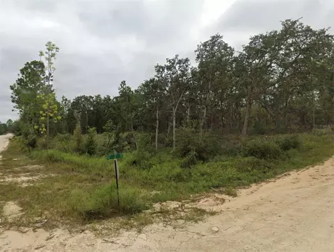 tbd SE 148 Ave, Williston, FL 32696 photo 3