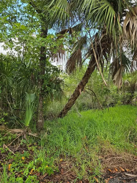 10894 W Larchwood St, Homosassa, FL 34448