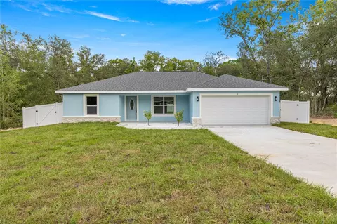 7 Guava Place Pass, Ocklawaha, FL 32179