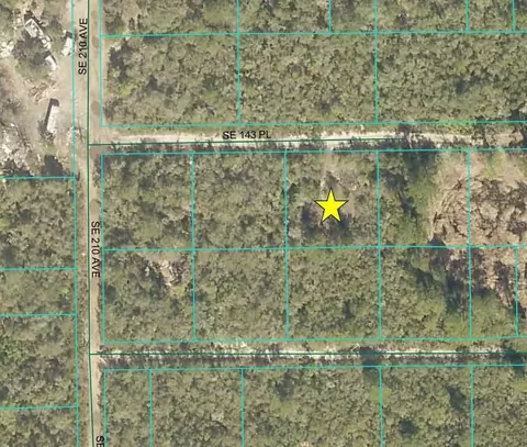 21068 SE 143rd Pl, Umatilla, FL 32784