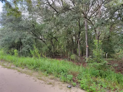 0 NE 110th Ave, Bronson, FL 32621