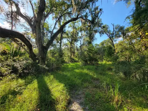 565 NE 833rd St, Old Town, FL 32680