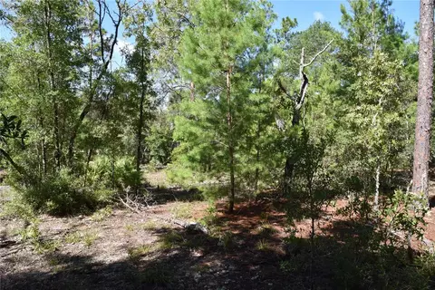 11 St, Interlachen, FL 32148 photo 10