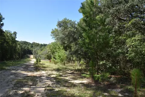 11 St, Interlachen, FL 32148 photo 25