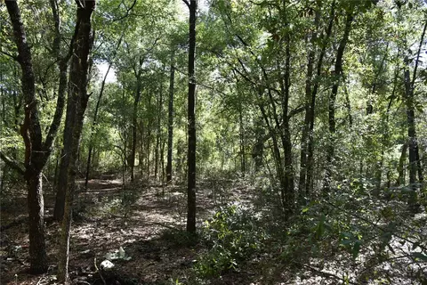 11 St, Interlachen, FL 32148 photo 21