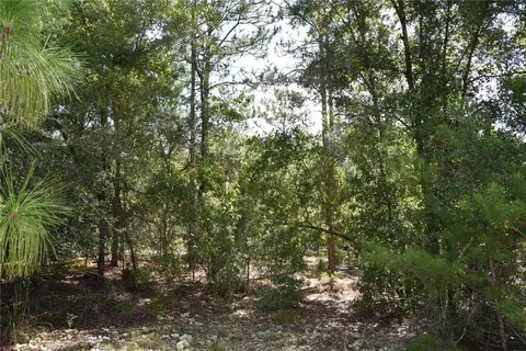 11 St, Interlachen, FL 32148 photo 19