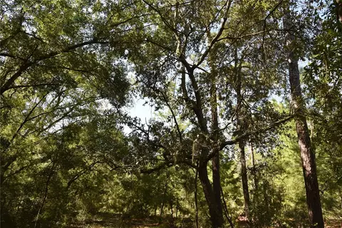 11 St, Interlachen, FL 32148 photo 13