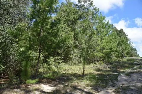 11 St, Interlachen, FL 32148 photo 23