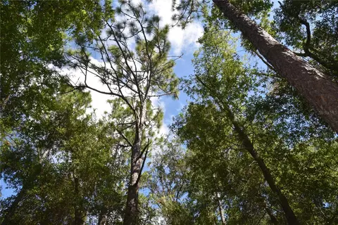 11 St, Interlachen, FL 32148 photo 2