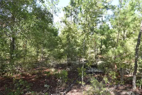 11 St, Interlachen, FL 32148 photo 7