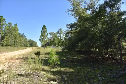 11 St, Interlachen, FL 32148 photo 3