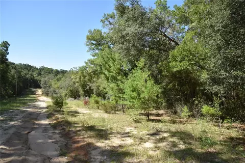 11 St, Interlachen, FL 32148 photo 24