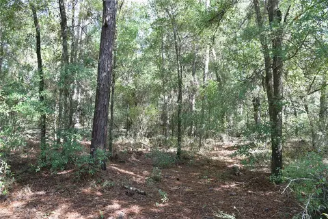 11 St, Interlachen, FL 32148 photo 8