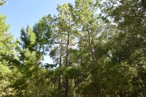 11 St, Interlachen, FL 32148 photo 18