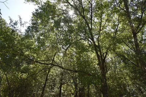 11 St, Interlachen, FL 32148 photo 16