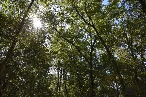 11 St, Interlachen, FL 32148