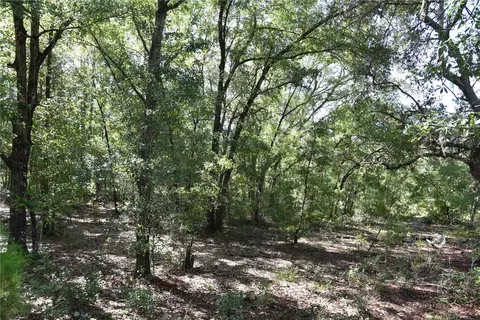 11 St, Interlachen, FL 32148 photo 15