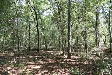 11 St, Interlachen, FL 32148 photo 22